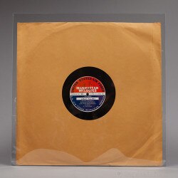 4-mil Polyester (Mylar) Sleeves for
